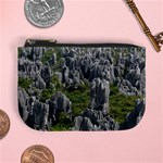 STONE FOREST 1 Mini Coin Purses Front