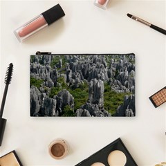 Stone Forest 1 Cosmetic Bag (small)  by trendistuff