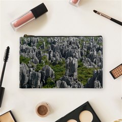 Stone Forest 1 Cosmetic Bag (medium)  by trendistuff