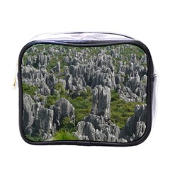 Stone Forest 1 Mini Toiletries Bags by trendistuff