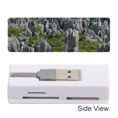 Stone Forest 1 Memory Card Reader (stick) 