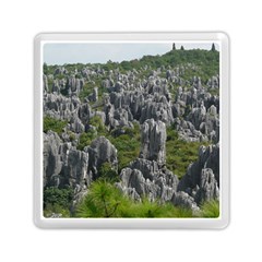 Stone Forest 1 Memory Card Reader (square) 