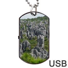 Stone Forest 1 Dog Tag Usb Flash (one Side)