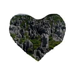 Stone Forest 1 Standard 16  Premium Heart Shape Cushions