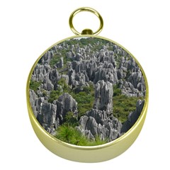 Stone Forest 1 Gold Compasses by trendistuff