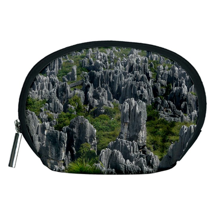 STONE FOREST 1 Accessory Pouches (Medium) 