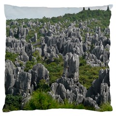 Stone Forest 1 Large Flano Cushion Cases (two Sides) 