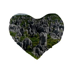 Stone Forest 1 Standard 16  Premium Flano Heart Shape Cushions