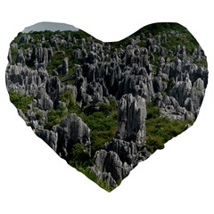 Stone Forest 1 Large 19  Premium Flano Heart Shape Cushions