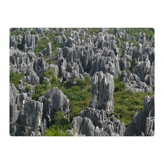 Stone Forest 1 Double Sided Flano Blanket (mini) 