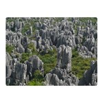 STONE FOREST 1 Double Sided Flano Blanket (Mini)  35 x27  Blanket Front