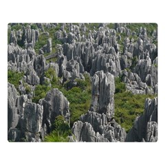 Stone Forest 1 Double Sided Flano Blanket (large)  by trendistuff