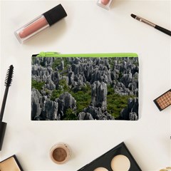 Stone Forest 1 Cosmetic Bag (xs)