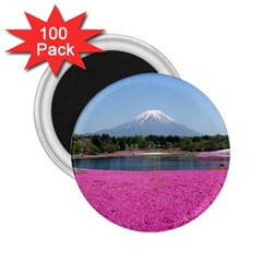 Shibazakura 2 25  Magnets (100 Pack)  by trendistuff