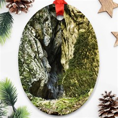 Mountain Path Ornament (oval)  by trendistuff