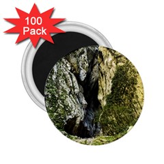 Mountain Path 2 25  Magnets (100 Pack)  by trendistuff