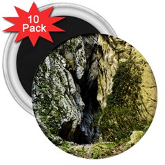 Mountain Path 3  Magnets (10 Pack)  by trendistuff