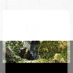 Mountain Path Rectangular Jigsaw Puzzl by trendistuff