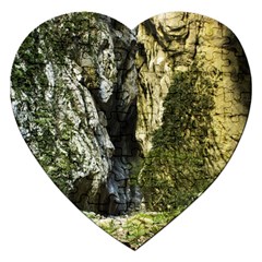 Mountain Path Jigsaw Puzzle (heart) by trendistuff