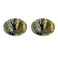 Mountain Path Cufflinks (oval) by trendistuff