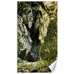 Mountain Path Canvas 40  X 72  