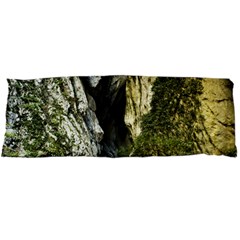 Mountain Path Body Pillow Cases Dakimakura (two Sides) 