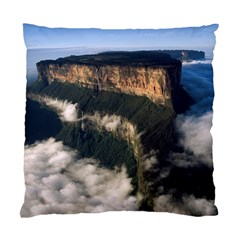 Mount Roraima 2 Standard Cushion Cases (two Sides)  by trendistuff