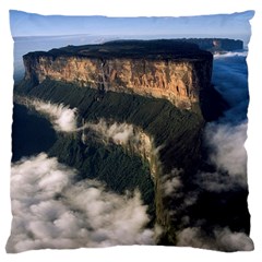 Mount Roraima 2 Large Cushion Cases (two Sides)  by trendistuff