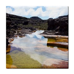 Mount Roraima 1 Tile Coasters by trendistuff