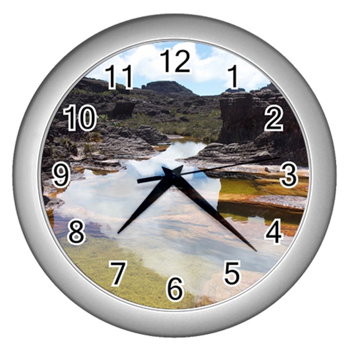 MOUNT RORAIMA 1 Wall Clocks (Silver) 