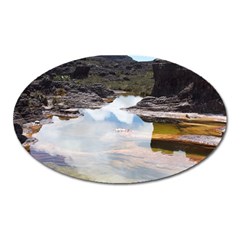 Mount Roraima 1 Oval Magnet by trendistuff