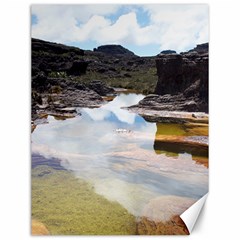 Mount Roraima 1 Canvas 12  X 16  