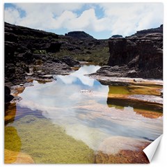 Mount Roraima 1 Canvas 16  X 16   by trendistuff