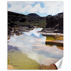 Mount Roraima 1 Canvas 16  X 20  