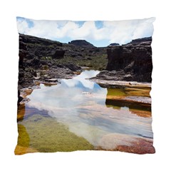 Mount Roraima 1 Standard Cushion Case (one Side)  by trendistuff