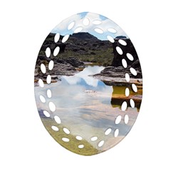 Mount Roraima 1 Oval Filigree Ornament (2-side)  by trendistuff