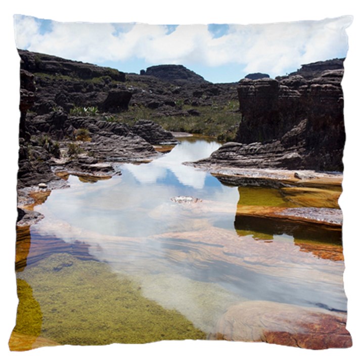 MOUNT RORAIMA 1 Large Cushion Cases (Two Sides) 