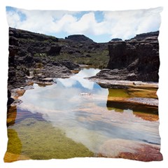 Mount Roraima 1 Large Flano Cushion Cases (one Side)  by trendistuff