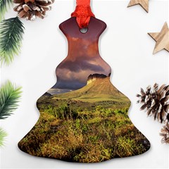 Chapada Diamantina 1 Ornament (christmas Tree)