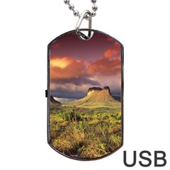 Chapada Diamantina 1 Dog Tag Usb Flash (two Sides) 