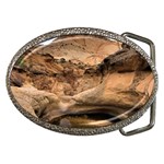 CAPITAL REEFS Belt Buckles