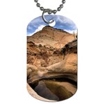 CAPITAL REEFS Dog Tag (One Side)