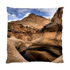 Capital Reefs Standard Cushion Case (one Side)  by trendistuff