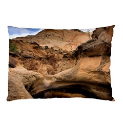 Capital Reefs Pillow Cases