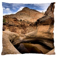 Capital Reefs Large Cushion Cases (two Sides)  by trendistuff