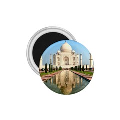 Taj Mahal 1 75  Magnets by trendistuff