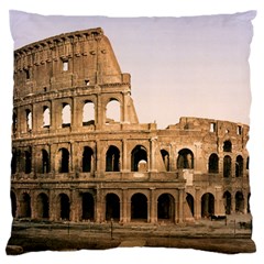 Rome Colosseum Standard Flano Cushion Cases (one Side) 