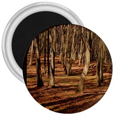 Wood Shadows 3  Magnets by trendistuff