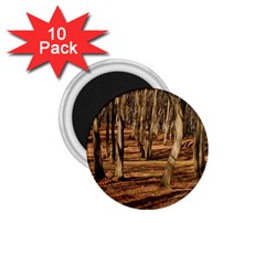 Wood Shadows 1 75  Magnets (10 Pack)  by trendistuff