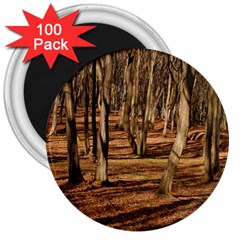 Wood Shadows 3  Magnets (100 Pack)